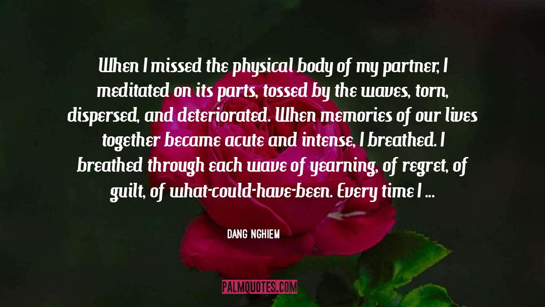 My Soul Mate quotes by Dang Nghiem