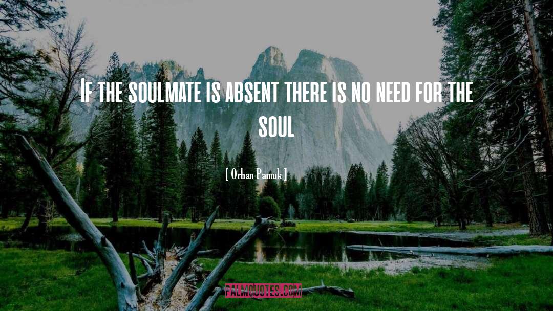 My Soulmate quotes by Orhan Pamuk