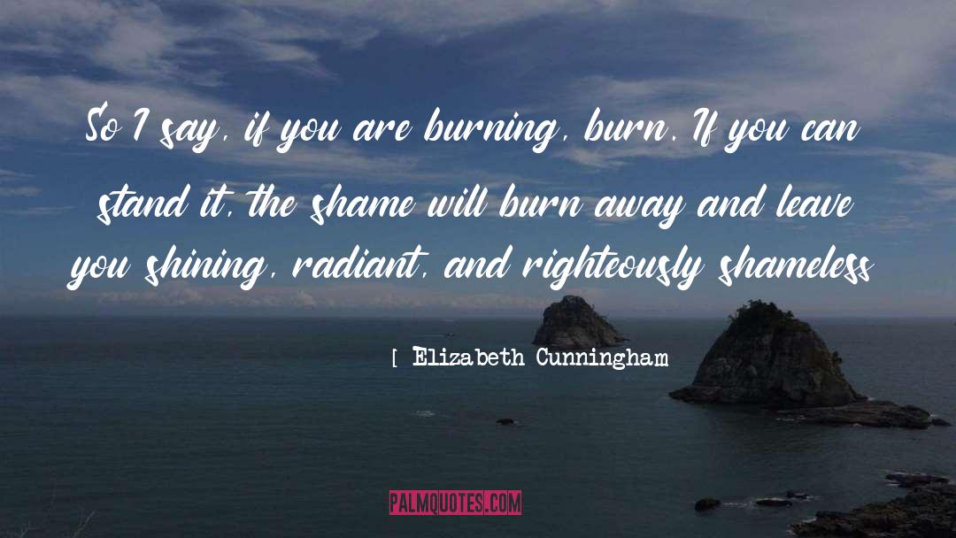 My Spirituality quotes by Elizabeth Cunningham