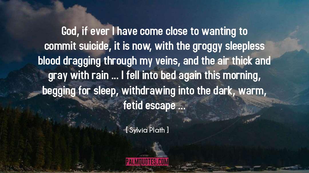 My Suicidal Trainwreck quotes by Sylvia Plath