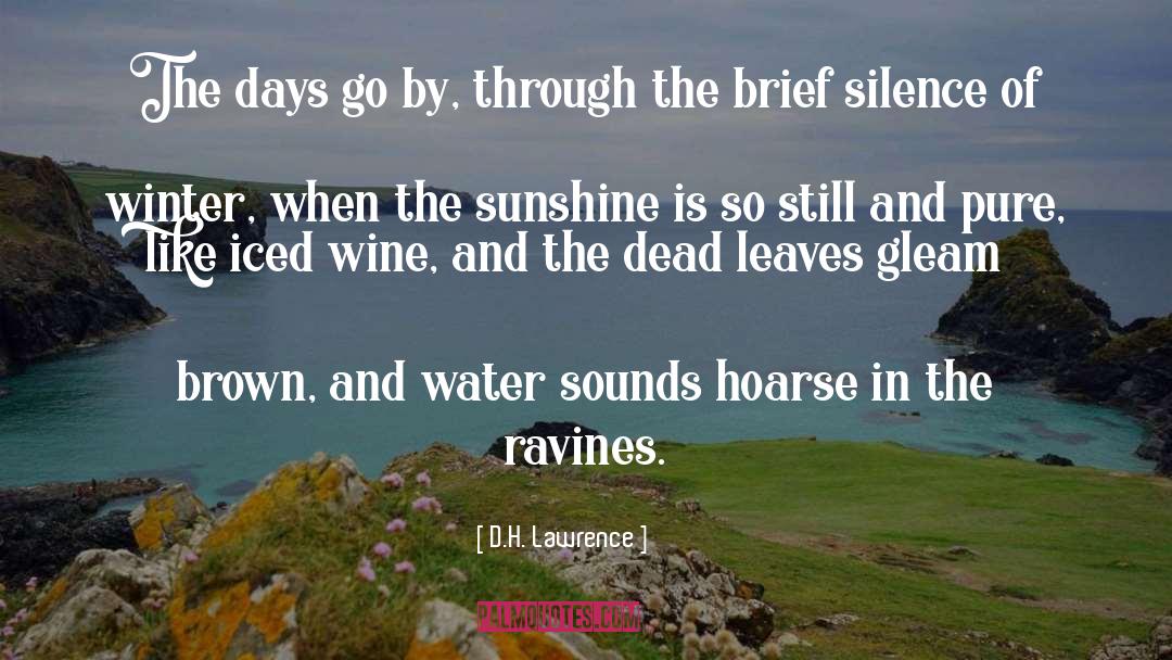 My Sunshine quotes by D.H. Lawrence