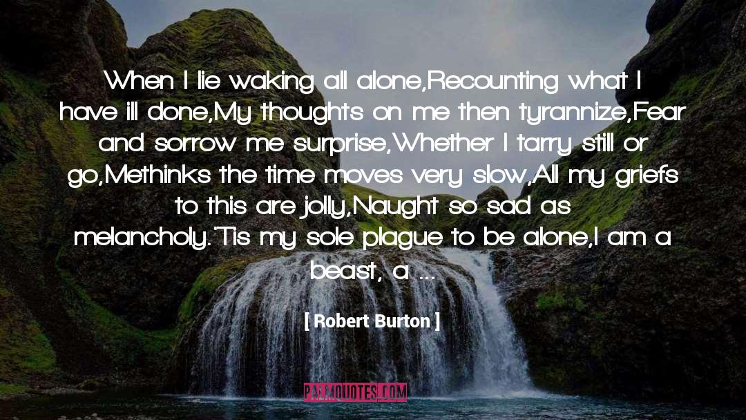 My Thoughts quotes by Robert Burton