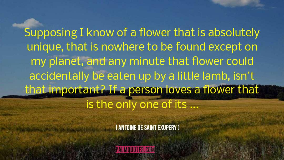 My Unique Path quotes by Antoine De Saint Exupery