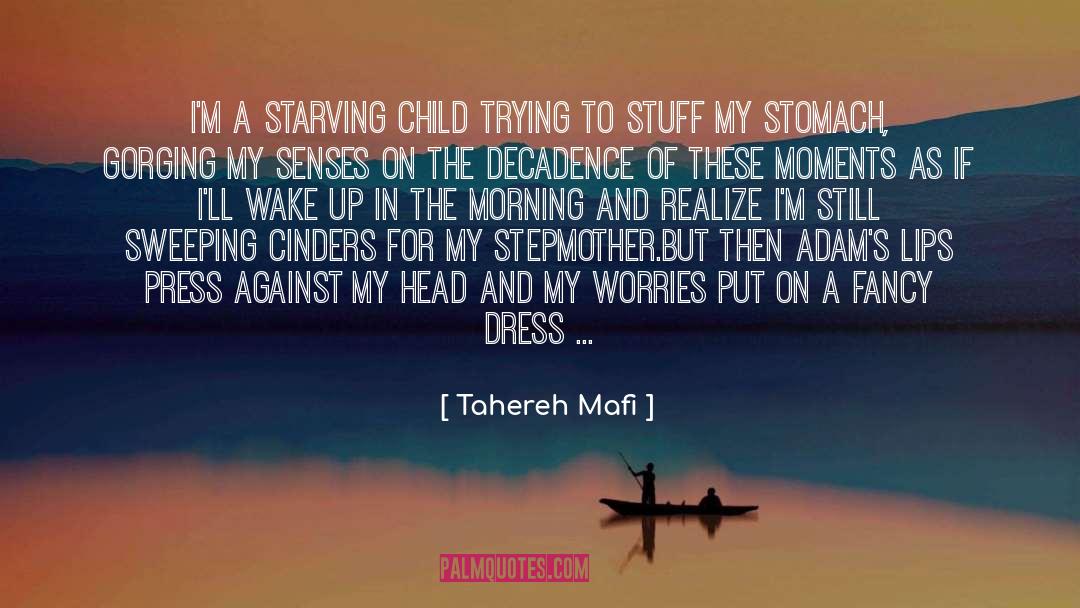 My Worries quotes by Tahereh Mafi