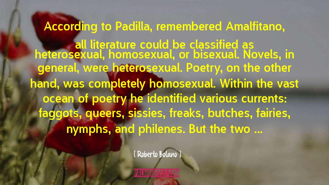 Mylette Padilla quotes by Roberto Bolano