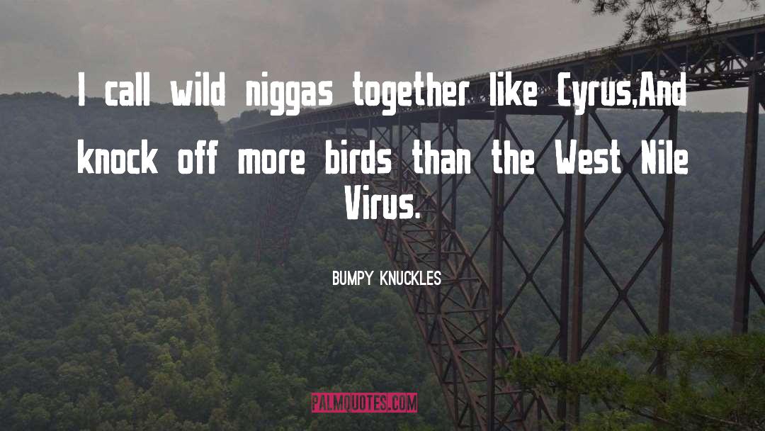 Myrie Cyrus quotes by Bumpy Knuckles