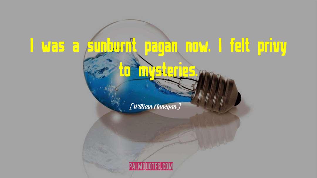 Mysteries Cozy quotes by William Finnegan