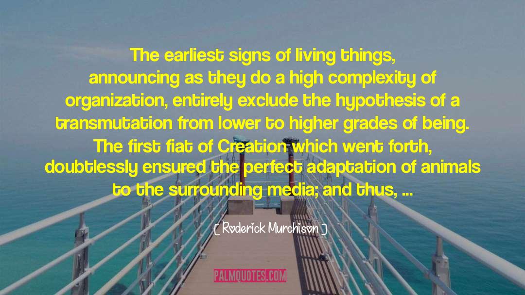 Mysteries Of Creation quotes by Roderick Murchison
