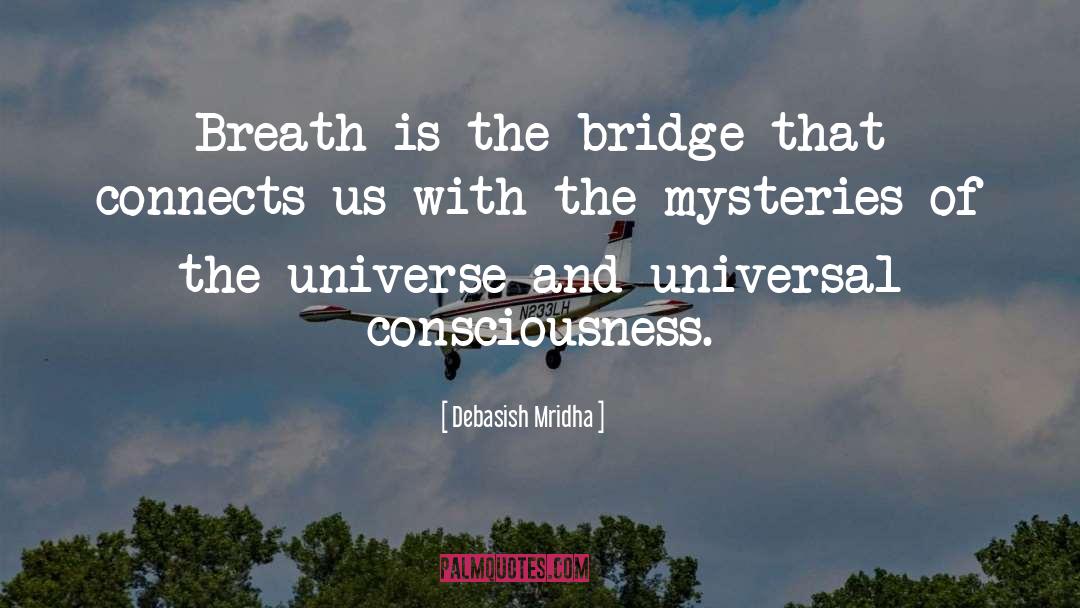 Mysteries Of The Universe quotes by Debasish Mridha