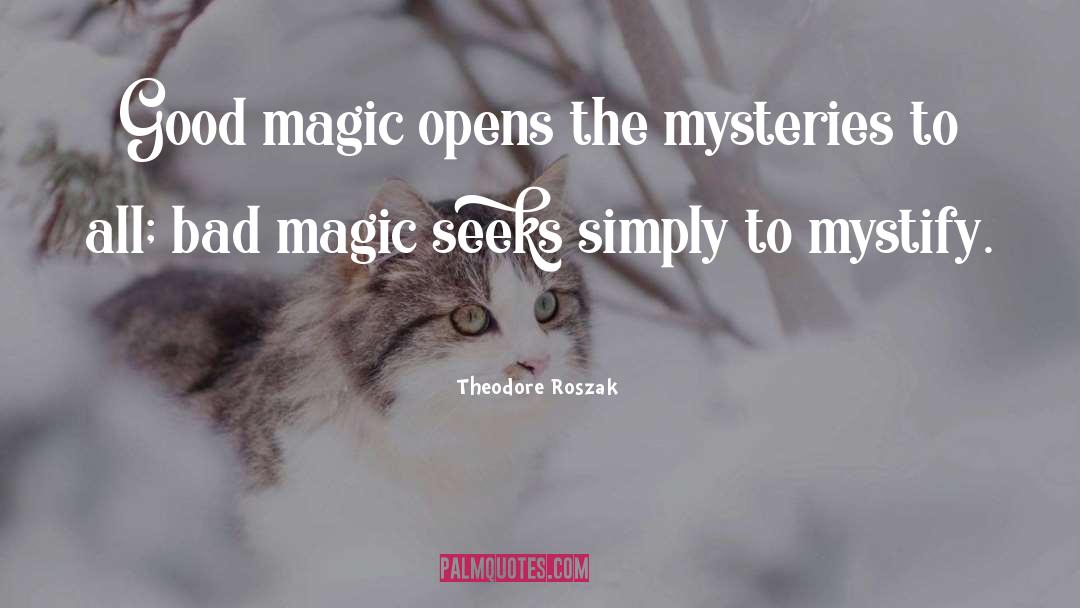 Mysteries quotes by Theodore Roszak