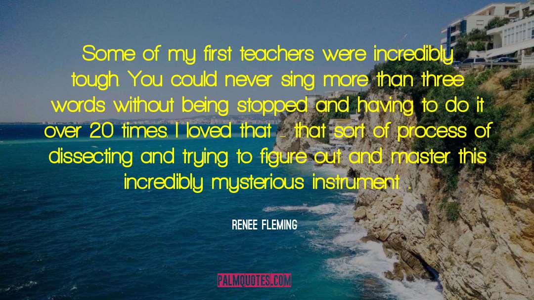 Mysterious Attraction quotes by Renee Fleming