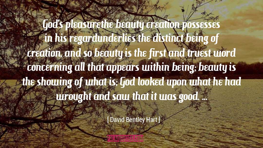 Mysterious Beauty quotes by David Bentley Hart
