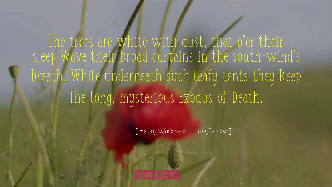 Mysterious Prophecy quotes by Henry Wadsworth Longfellow
