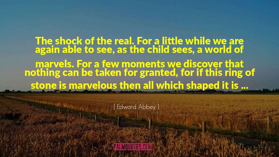 Mysterious Things quotes by Edward Abbey