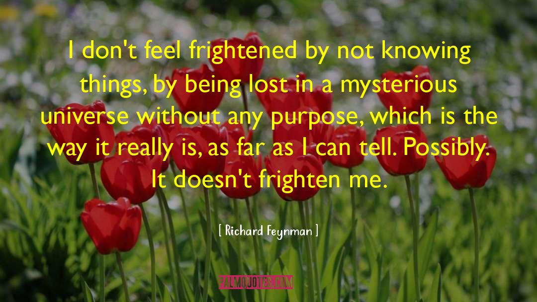 Mysterious Universe quotes by Richard Feynman