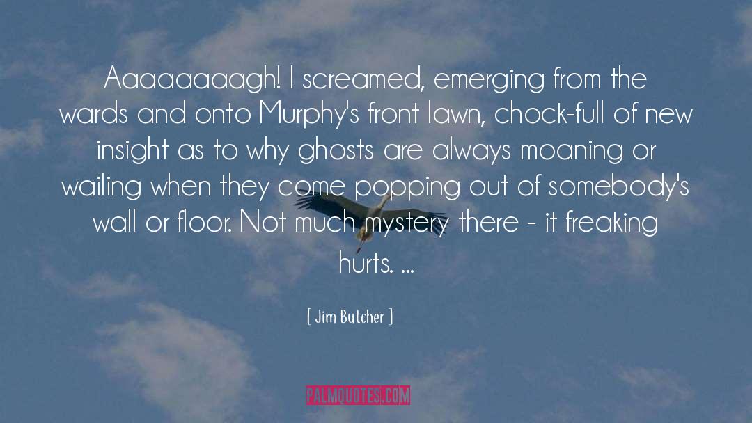 Mystery Anthology quotes by Jim Butcher