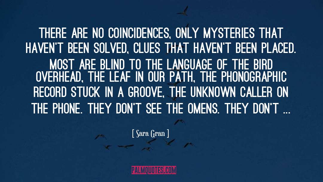 Mystery Novels quotes by Sara Gran