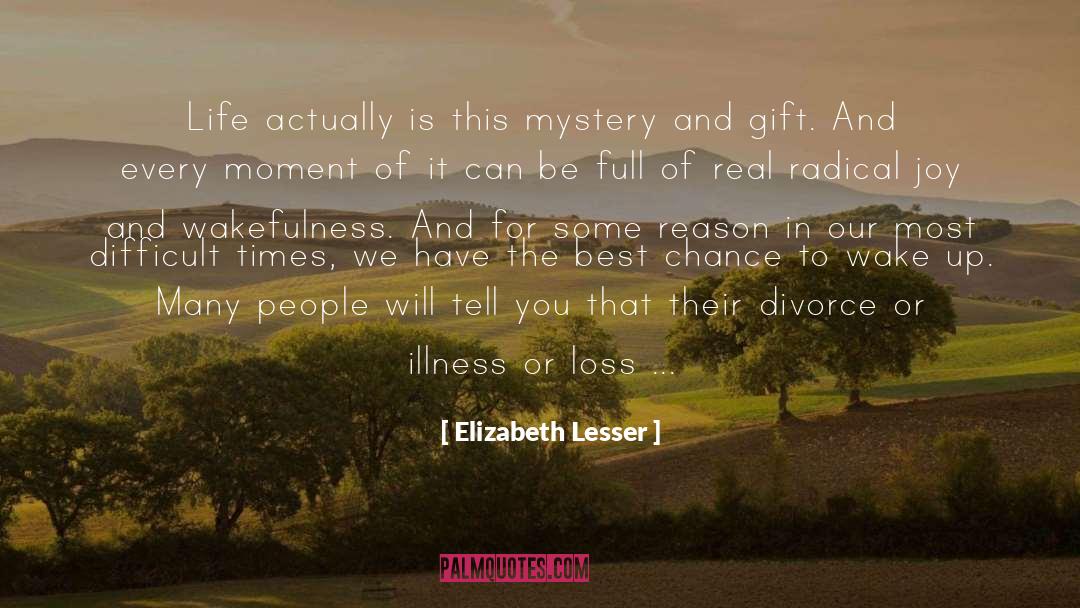 Mystery Novels quotes by Elizabeth Lesser