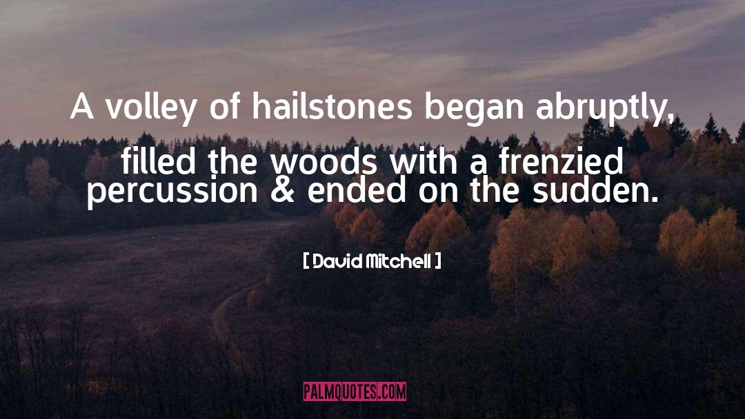 Mystery Of Nature quotes by David Mitchell