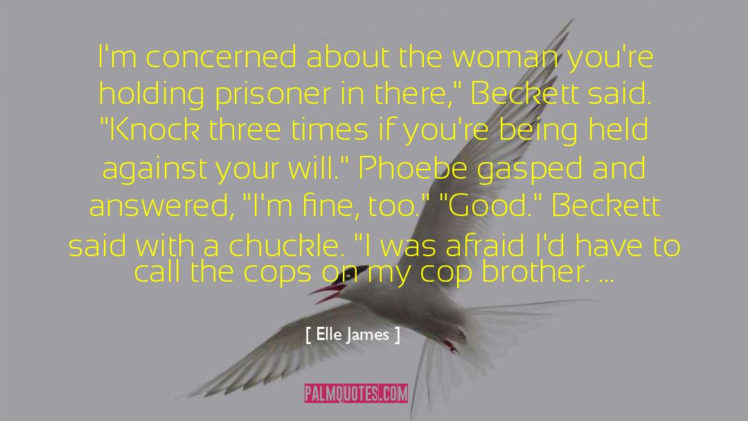 Mystery Suspense Humor quotes by Elle James