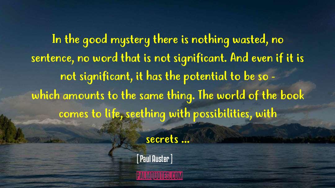 Mystery Thrillers quotes by Paul Auster