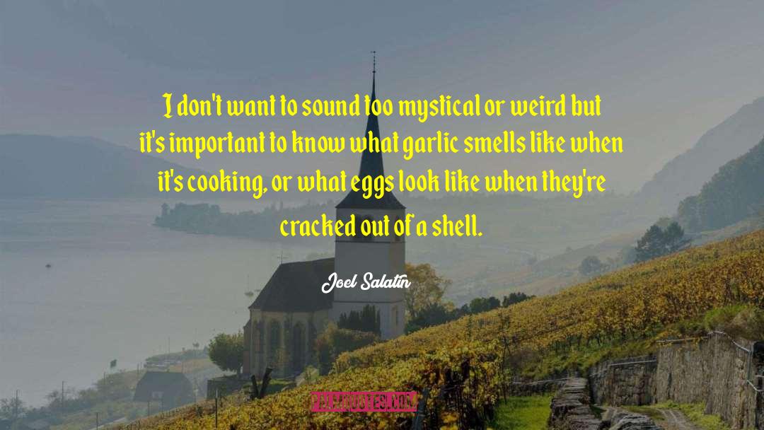 Mystical Encounter quotes by Joel Salatin
