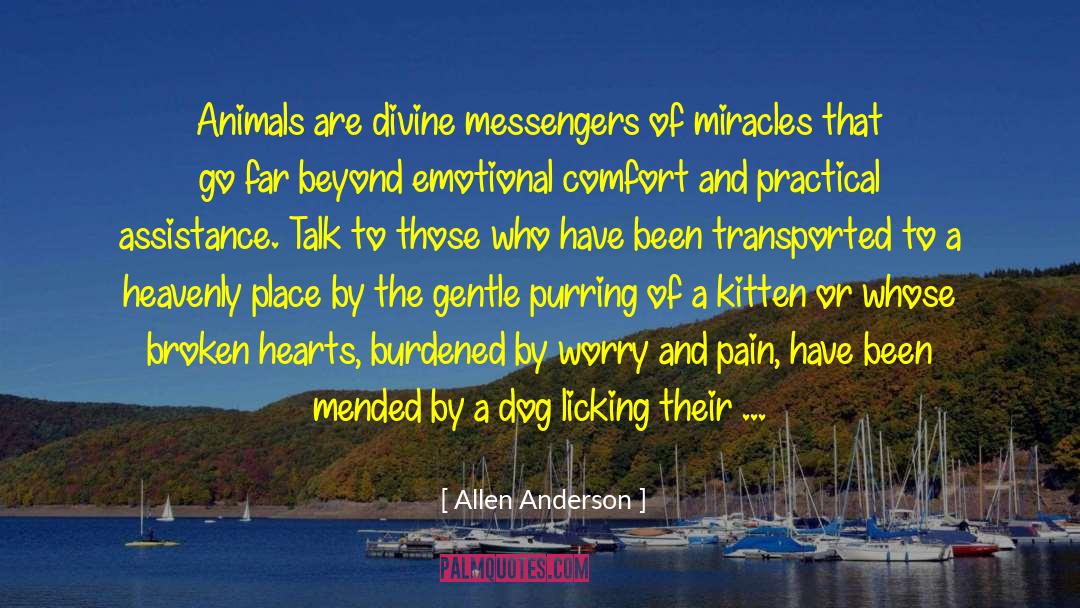 Mystics quotes by Allen Anderson