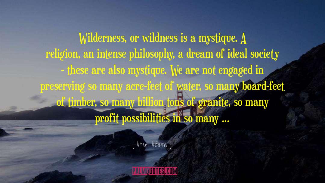 Mystique quotes by Ansel Adams