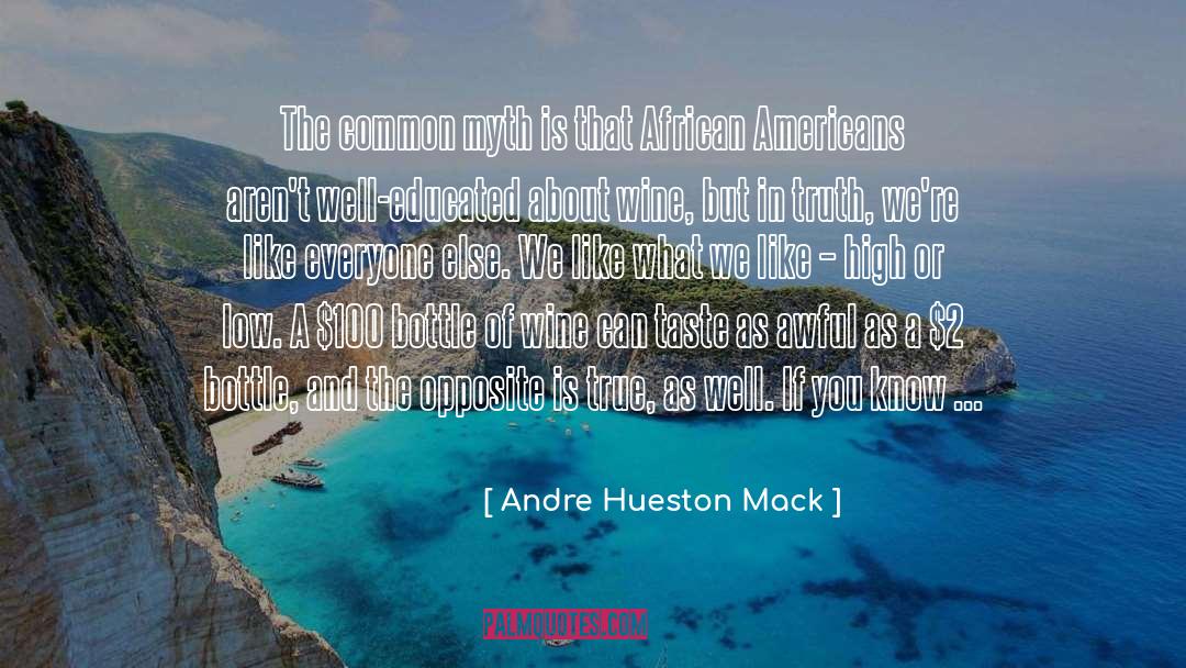 Myth Busters quotes by Andre Hueston Mack
