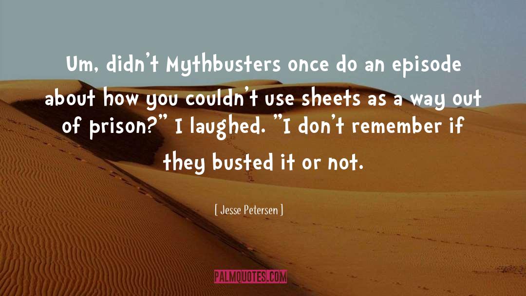 Mythbusters Kari quotes by Jesse Petersen