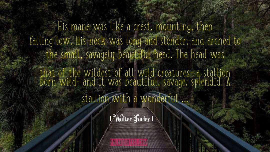 Mythological Creatures quotes by Walter Farley