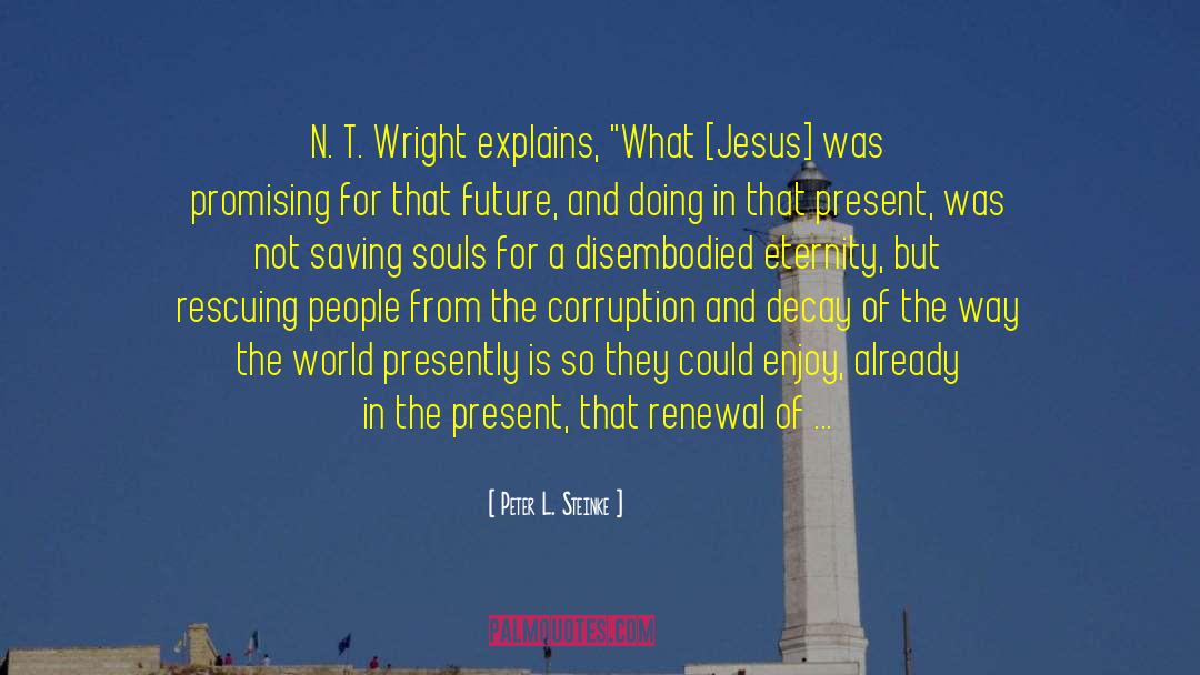 N T Wright quotes by Peter L. Steinke