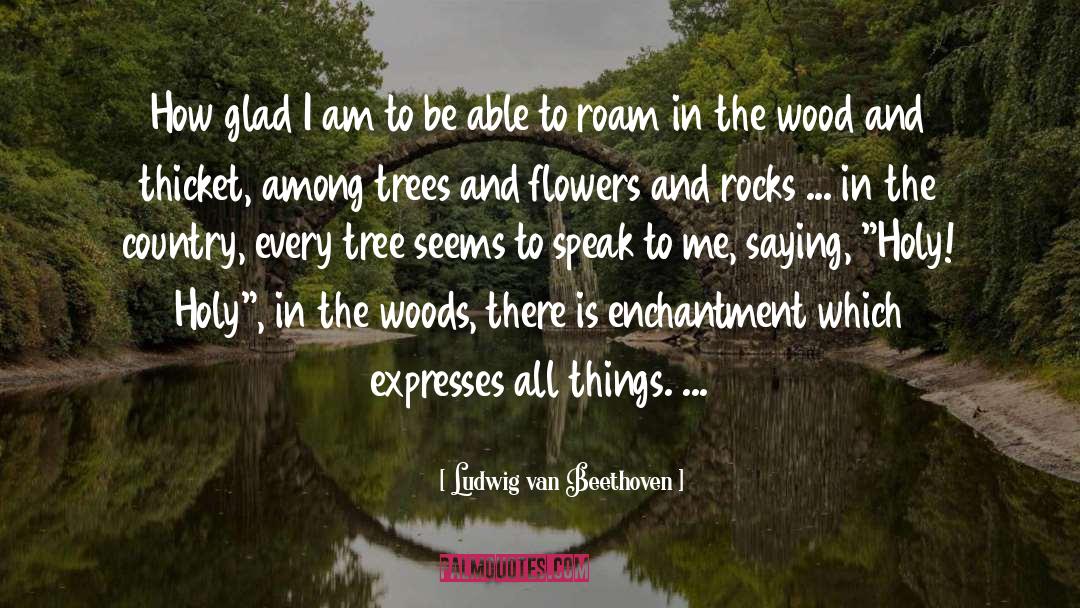 N Wood Lane quotes by Ludwig Van Beethoven
