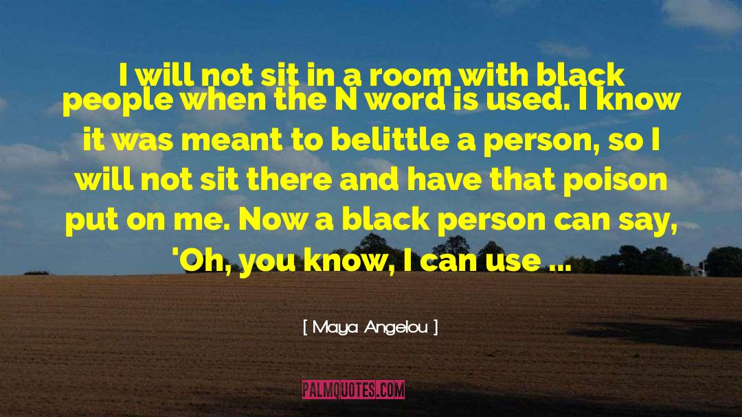 N Word quotes by Maya Angelou