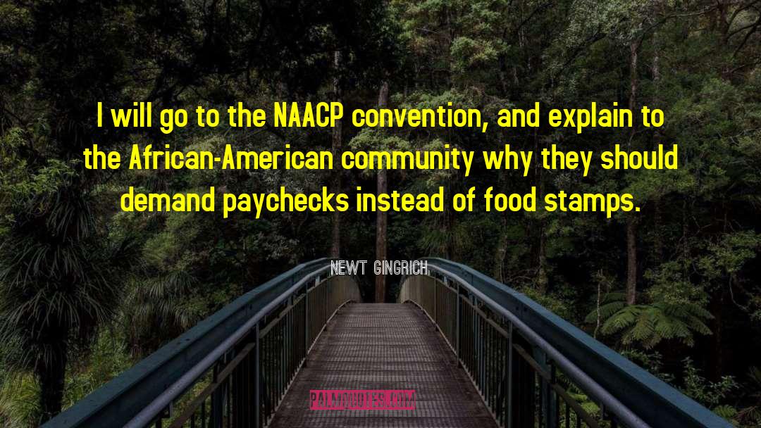 Naacp quotes by Newt Gingrich