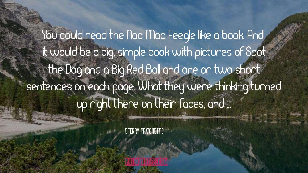 Nac Mac Feegles quotes by Terry Pratchett