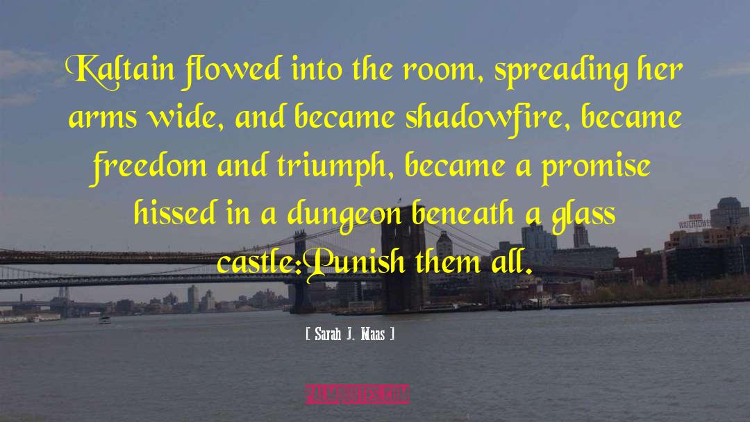 Nachtstum Castle quotes by Sarah J. Maas