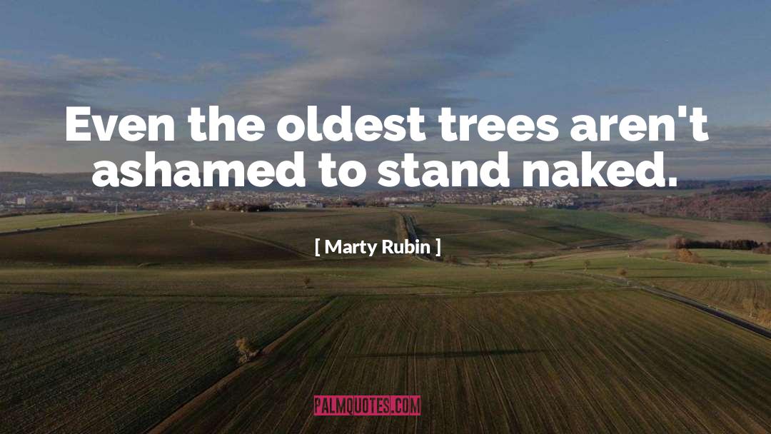 Nakedness quotes by Marty Rubin