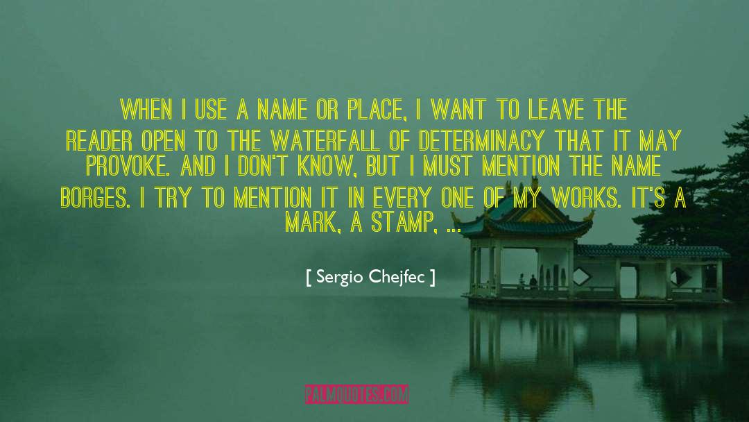 Name Of The Book quotes by Sergio Chejfec