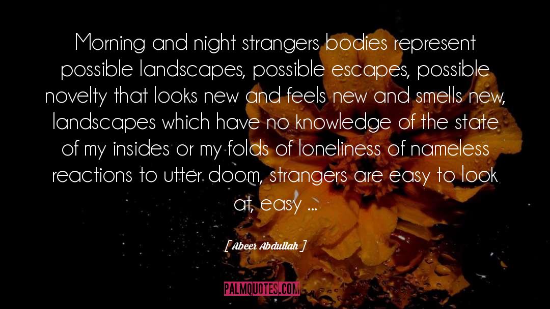 Nameless quotes by Abeer Abdullah