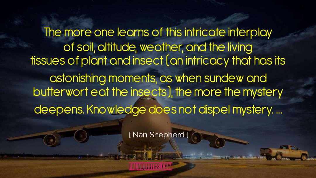 Nan Flanagan quotes by Nan Shepherd