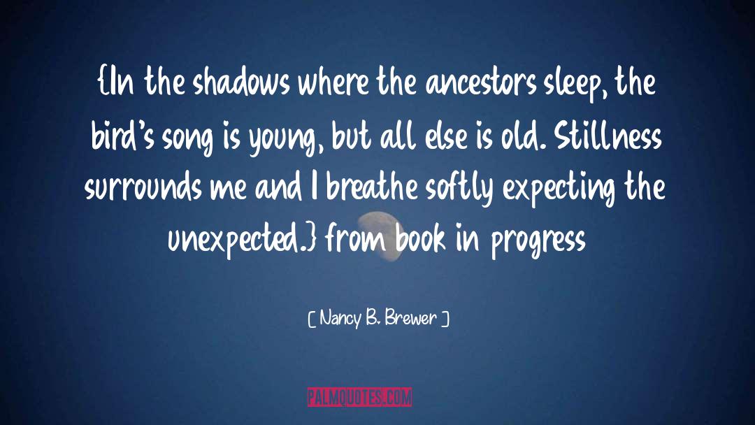 Nancy B Brewer quotes by Nancy B. Brewer