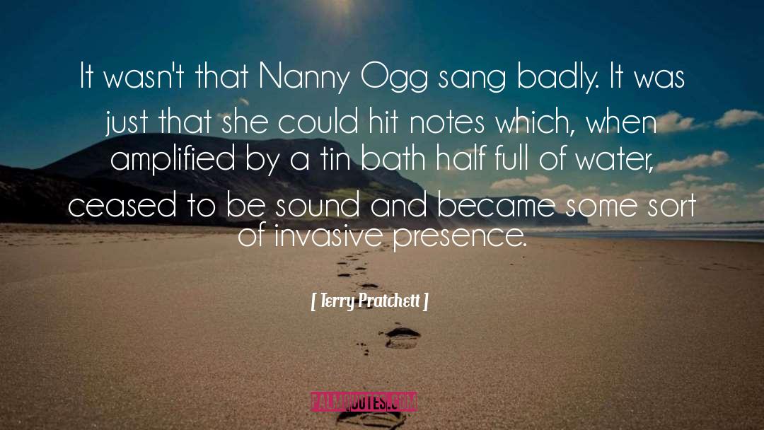 Nannies quotes by Terry Pratchett