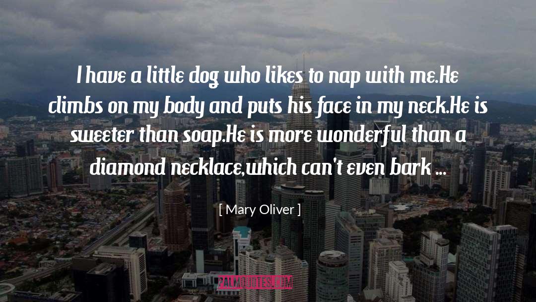 Nap quotes by Mary Oliver