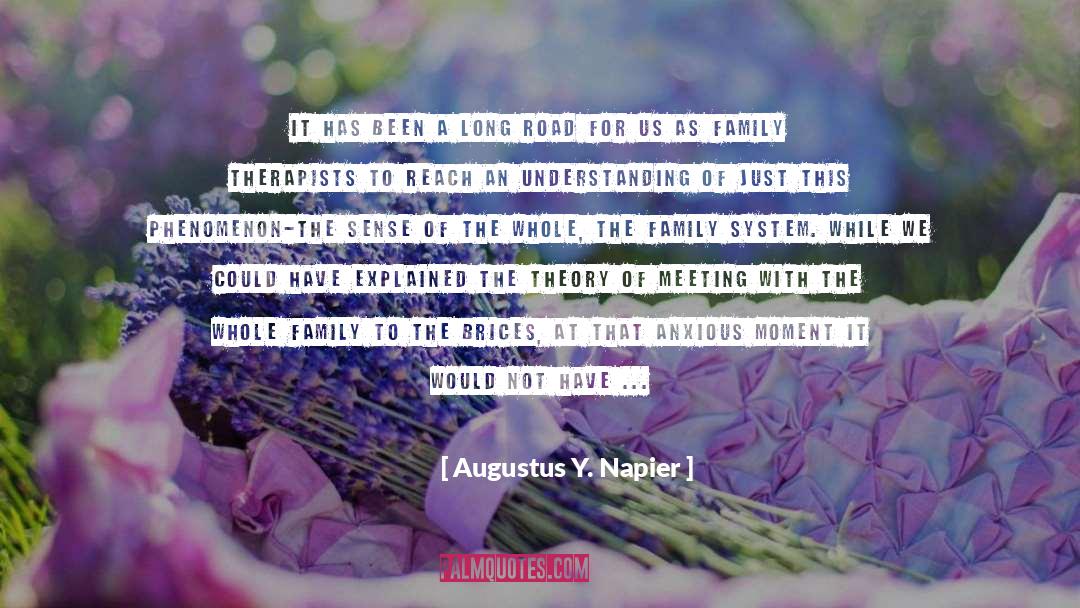 Napier quotes by Augustus Y. Napier