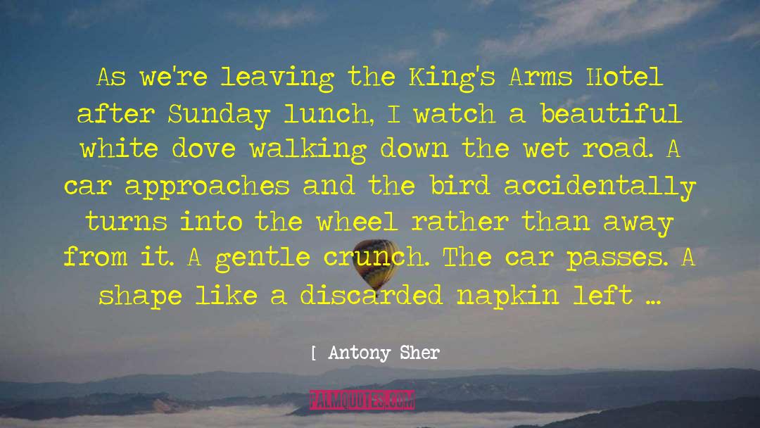 Napkin quotes by Antony Sher