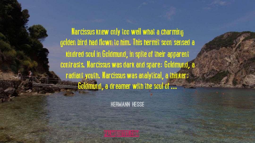 Narcissus quotes by Hermann Hesse