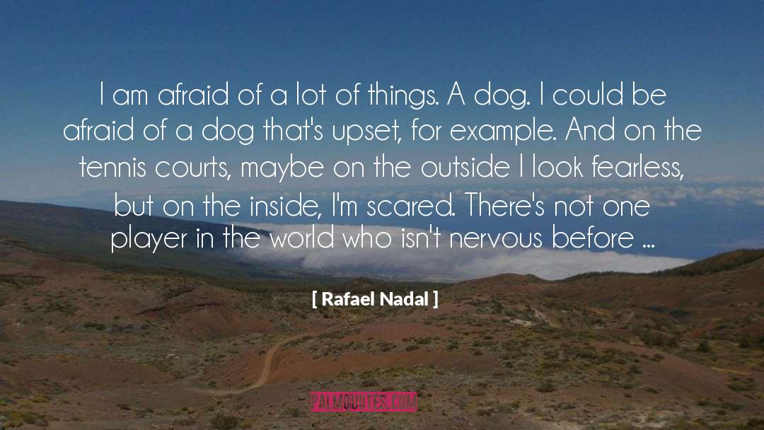 Narcoleptic Dog quotes by Rafael Nadal