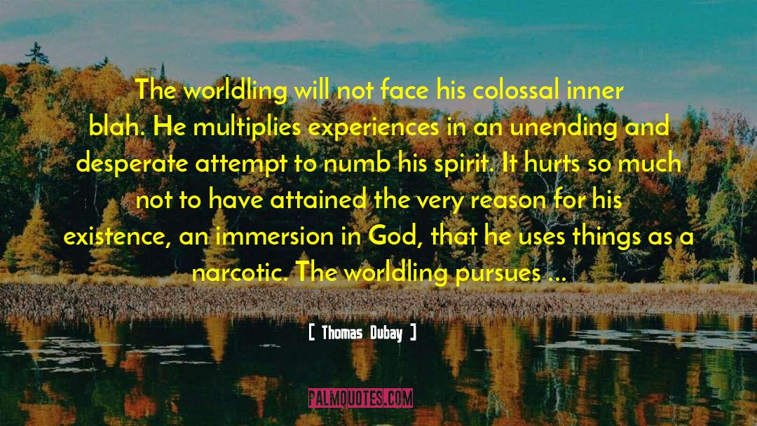 Narcotic quotes by Thomas Dubay