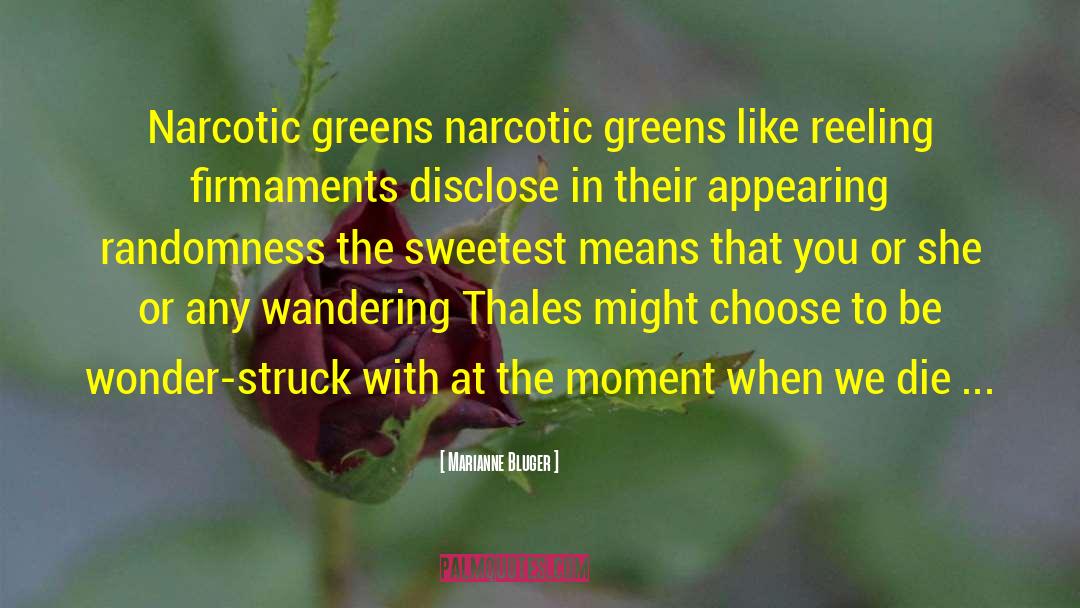 Narcotic quotes by Marianne Bluger